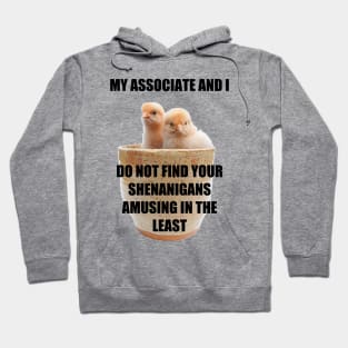 My Associate and I Hoodie